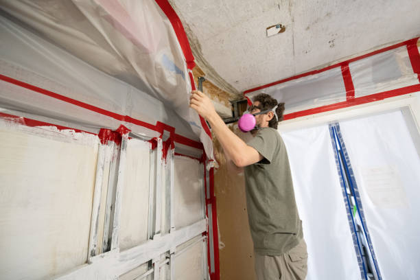 Best Emergency Mold Remediation  in Snyder, TX