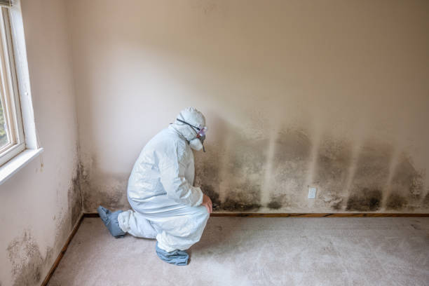 Best Air Quality Testing for Mold Spores  in Snyder, TX